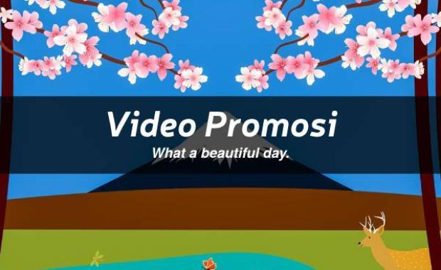 Video Promosi